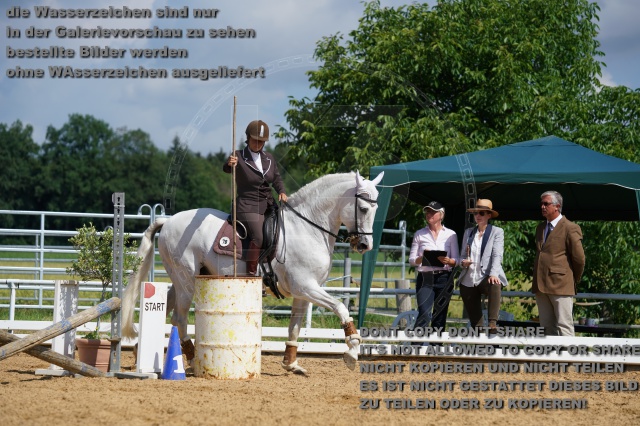 s_K3F05725.JPG